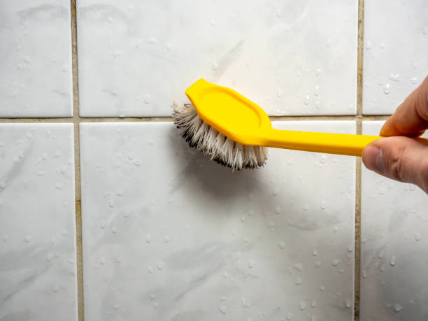 Best Mold Remediation Experts  in Burke Centre, VA