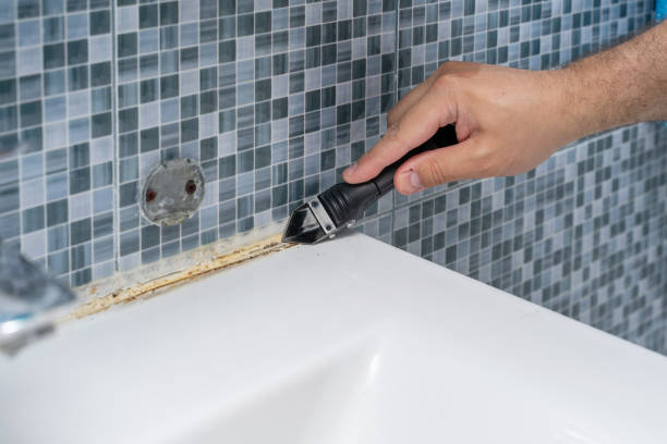 Best Local Mold Removal Service  in Burke Centre, VA