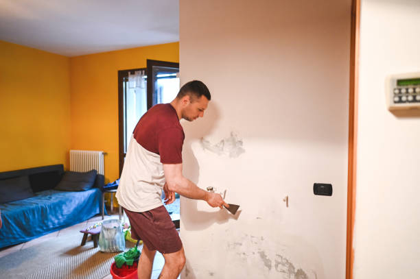 Home Mold Removal in Burke Centre, VA